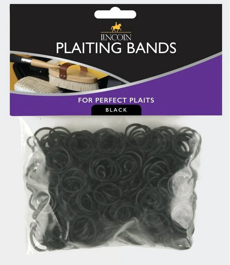 Lincoln Plaiting Band Bag